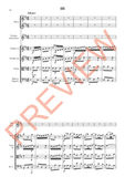 Pisendel — Violin Concerto in D major, JunP I.5 — Score Only