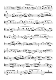 Strauss — Metamorphosen — Complete Parts (No Score)